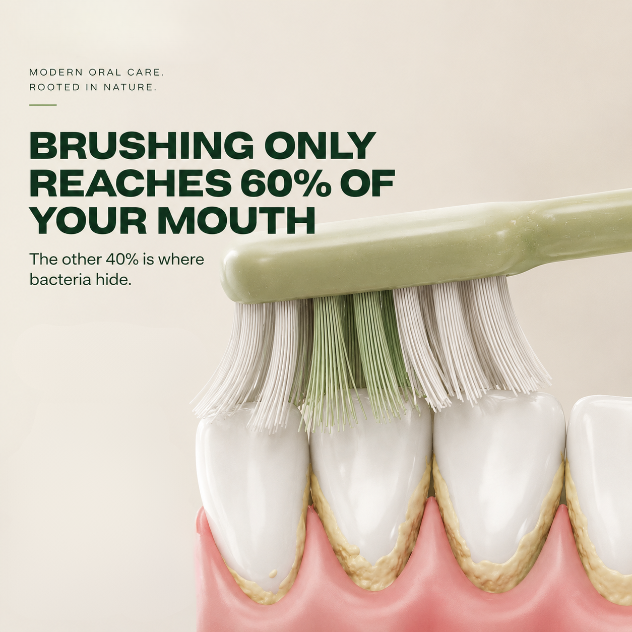 Kayvor® Healthy Teeth & Gums