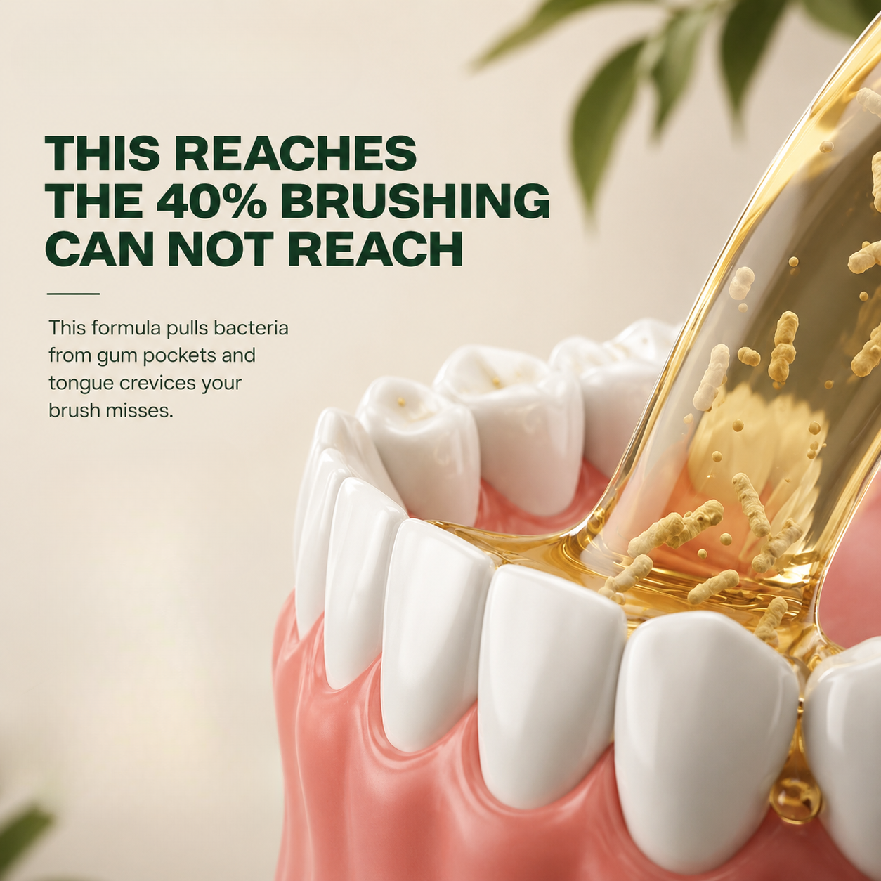 Kayvor® Healthy Teeth & Gums