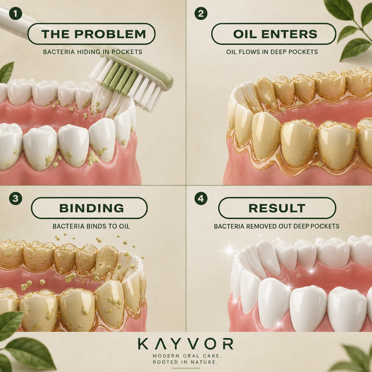 Kayvor® Healthy Teeth & Gums